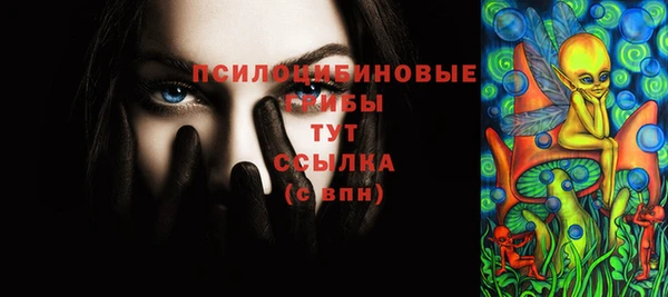 индика Верея