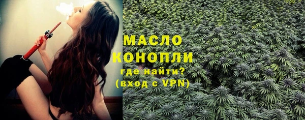 индика Володарск