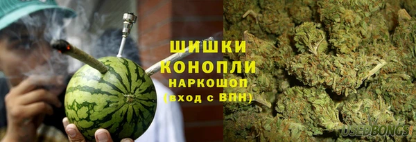 индика Верея