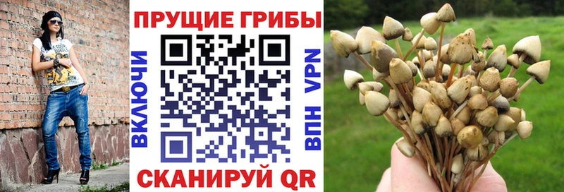 где продают наркотики Щучье Галлюциногенные грибы мухоморы